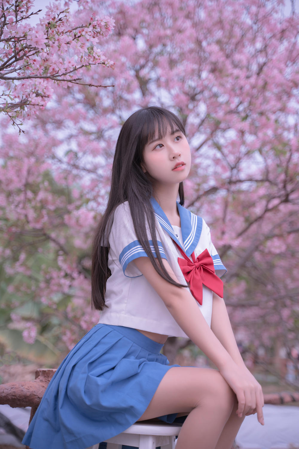 萌芽儿o0  樱花jk [31P-426MB]